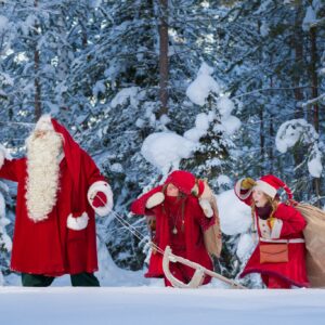 Santa Claus and Elves in the snowy Santa Claus Secret Forest-Joulukka.