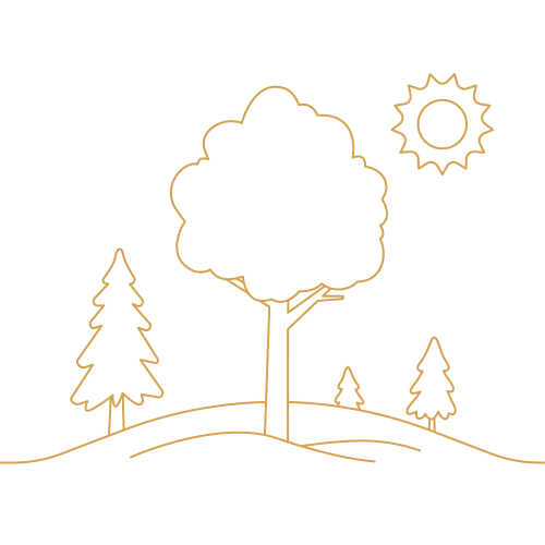 summer season graphic animated