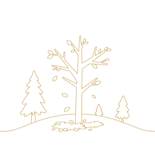 autumn season graphic animated