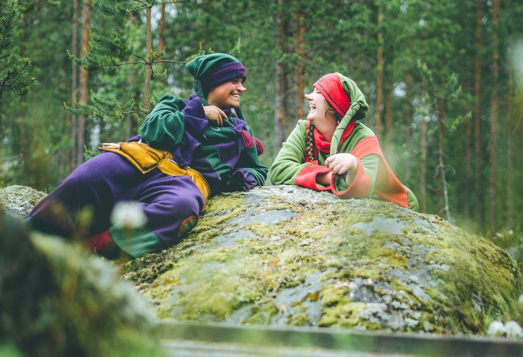 Santa Claus Secret Forest summer forest with Elves