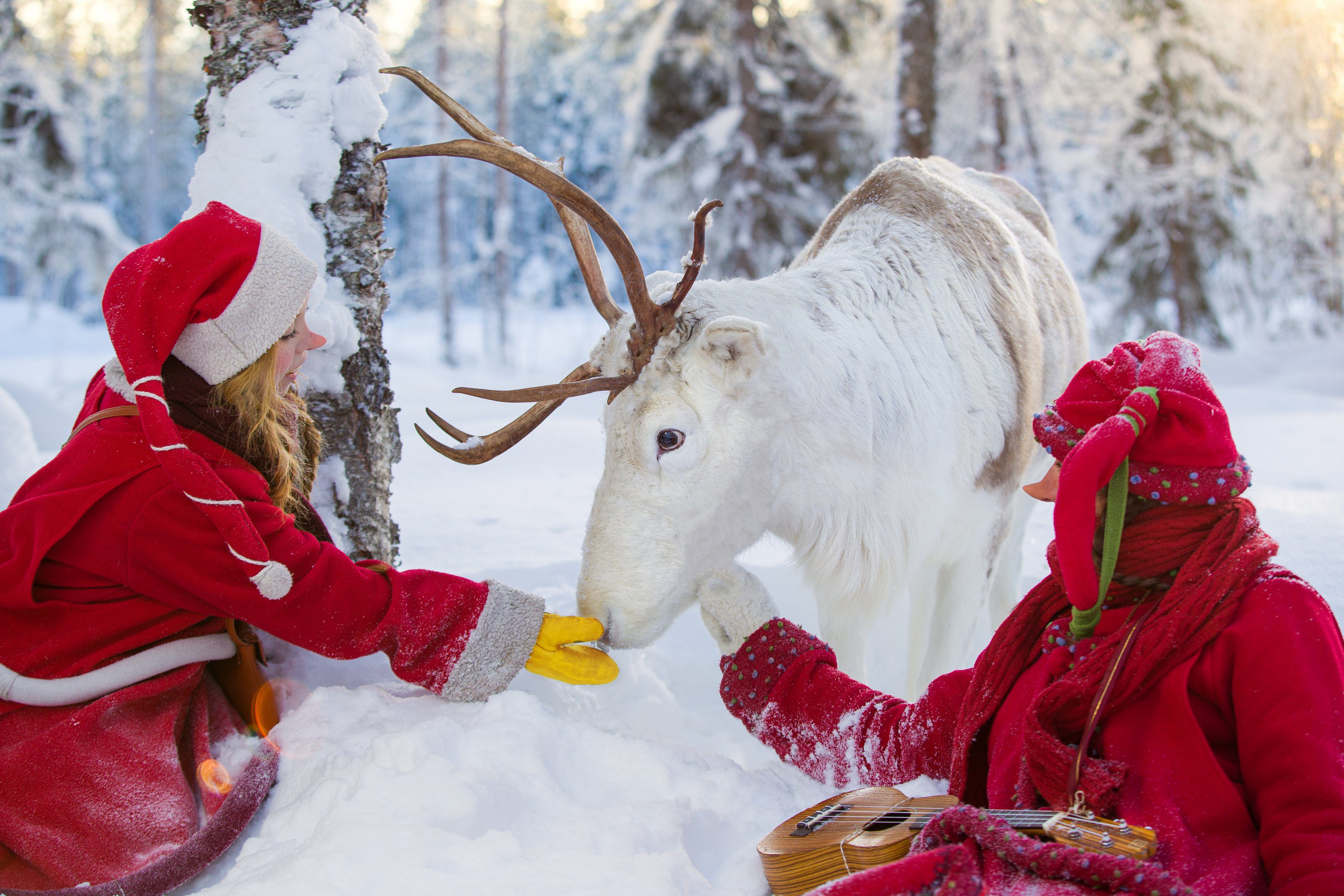 Elves and Reindeer in Santa Claus Secret Forest