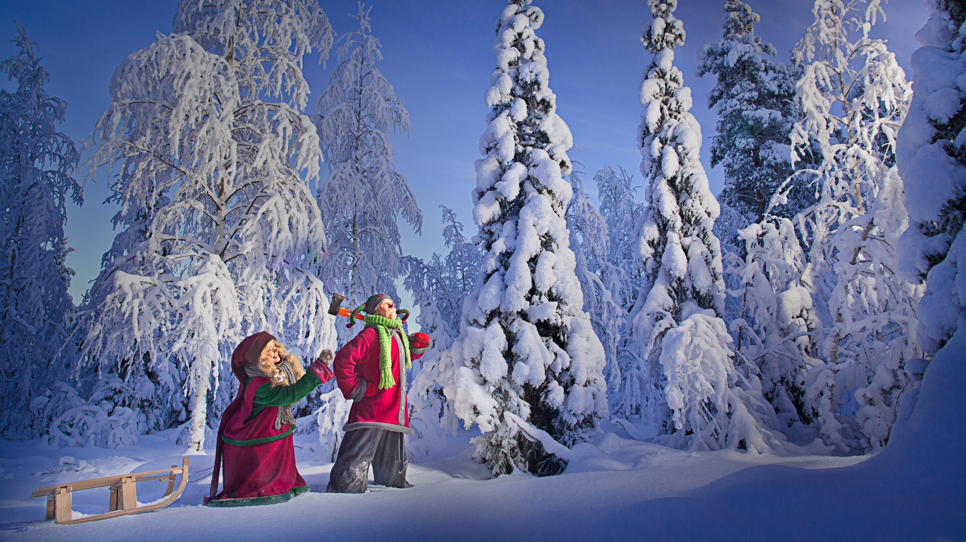Santa Claus Secret Forest Searching for the Christmas Tree Lapland