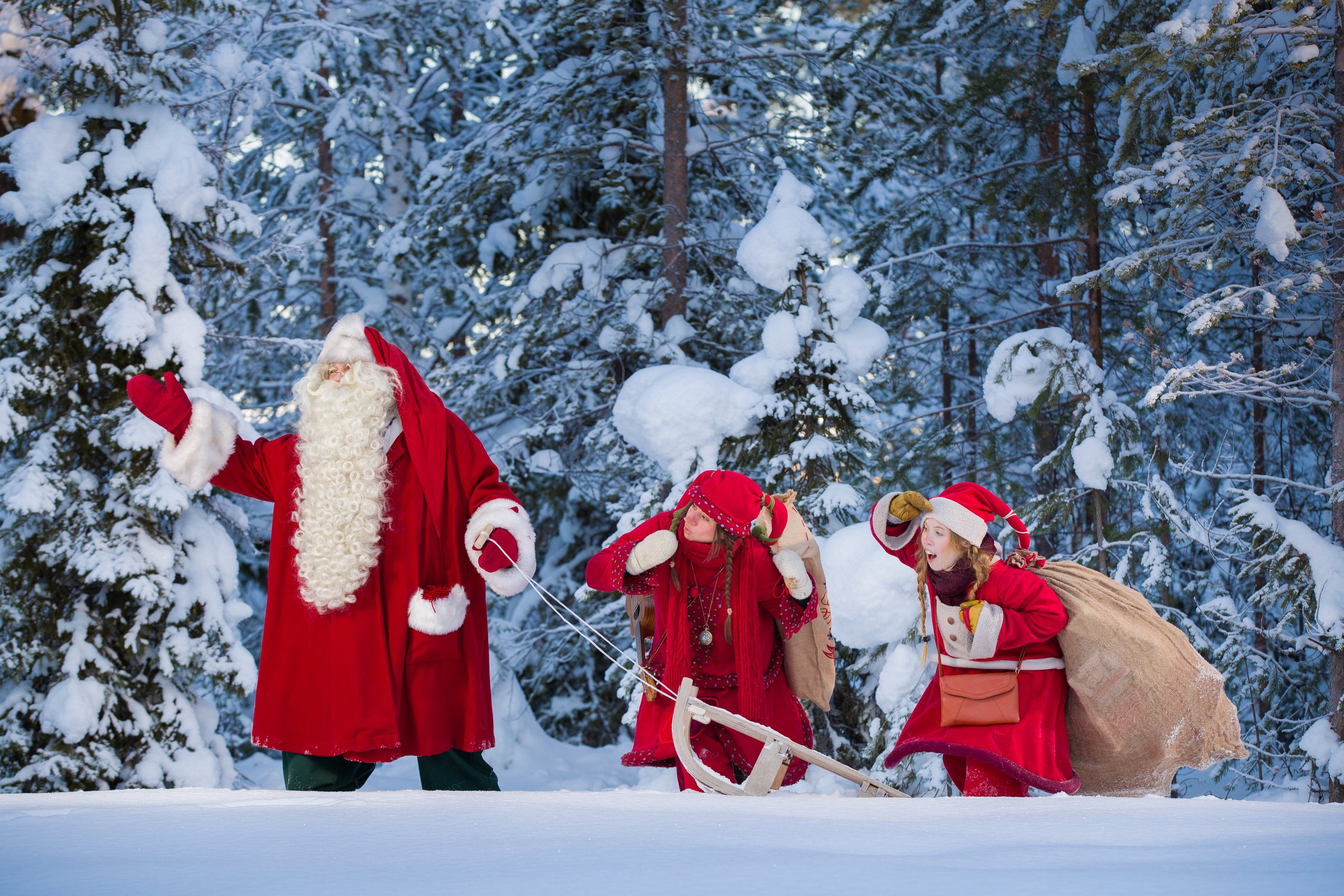 Santa and elves in the winter forest