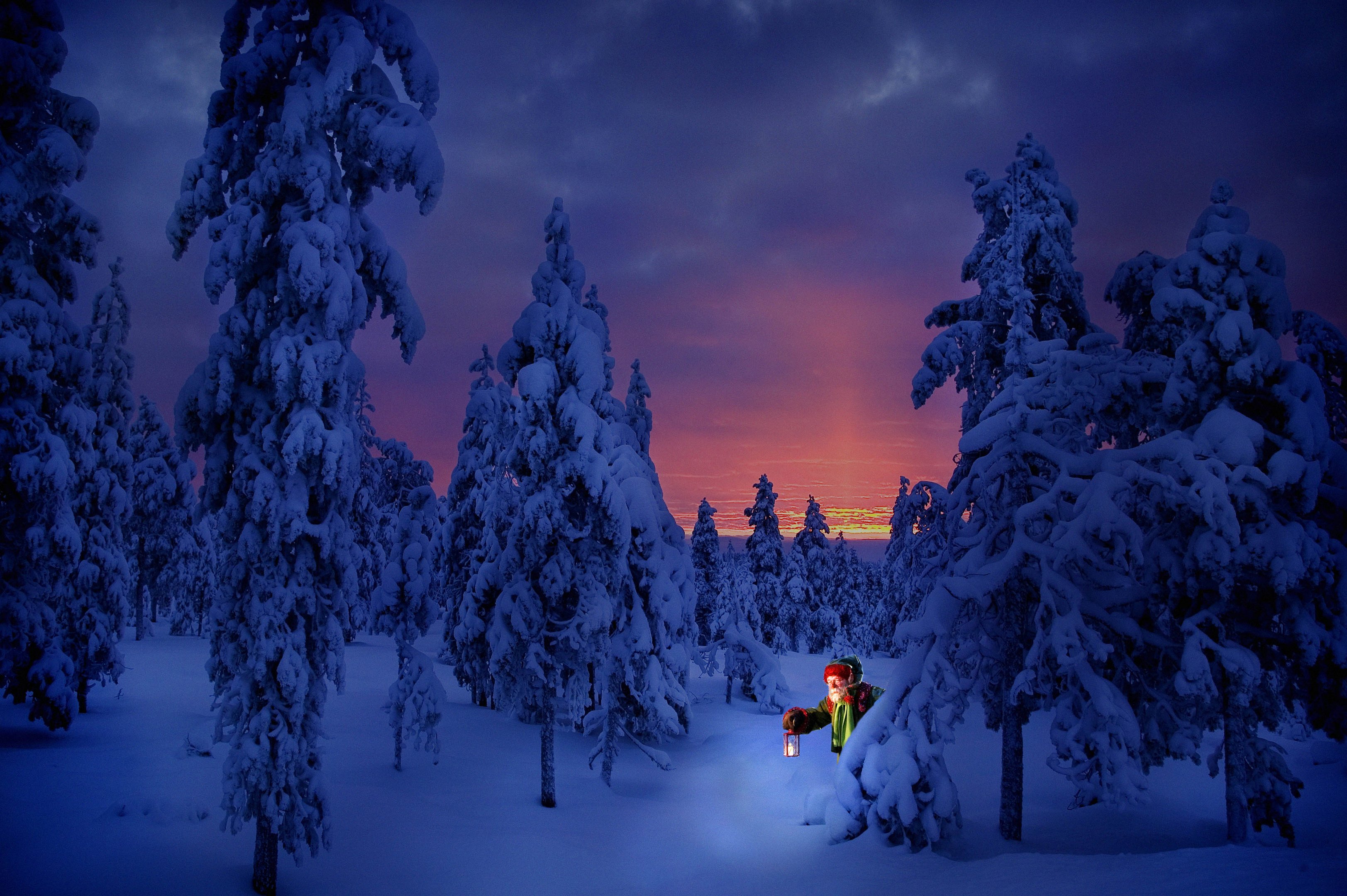 Joulukka Santa Claus Secret Forest Lapland in winter dusk